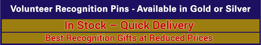 Volunteer Recognition Pins (Gold)